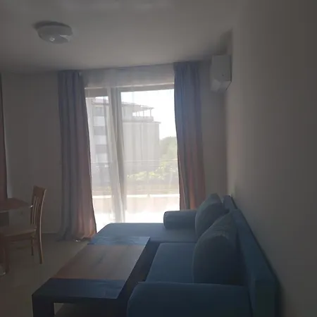 Hrizantema Horizontm סבטי ולאס